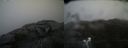 ./images/calvert/buxton2/20220401/buxton220220401_121002M.jpg