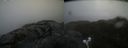 ./images/calvert/buxton2/20220401/buxton220220401_135003M.jpg