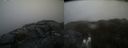 ./images/calvert/buxton2/20220401/buxton220220401_141003M.jpg