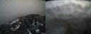 ./images/calvert/buxton2/20220402/buxton220220402_151002M.jpg