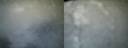 ./images/calvert/buxton2/20220403/buxton220220403_064003M.jpg