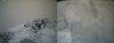 ./images/calvert/buxton2/20220403/buxton220220403_100502M.jpg