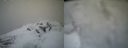 ./images/calvert/buxton2/20220403/buxton220220403_102502M.jpg