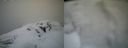 ./images/calvert/buxton2/20220403/buxton220220403_105002M.jpg