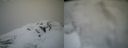 ./images/calvert/buxton2/20220403/buxton220220403_105502M.jpg