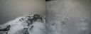 ./images/calvert/buxton2/20220404/buxton220220404_091003M.jpg
