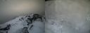 ./images/calvert/buxton2/20220404/buxton220220404_094503M.jpg