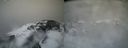./images/calvert/buxton2/20220404/buxton220220404_115003M.jpg