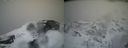 ./images/calvert/buxton2/20220404/buxton220220404_155502M.jpg