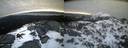 ./images/calvert/buxton2/20220406/buxton220220406_065503M.jpg