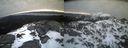 ./images/calvert/buxton2/20220406/buxton220220406_071003M.jpg