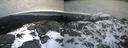 ./images/calvert/buxton2/20220406/buxton220220406_072003M.jpg