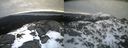 ./images/calvert/buxton2/20220406/buxton220220406_073503M.jpg