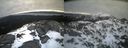 ./images/calvert/buxton2/20220406/buxton220220406_074003M.jpg