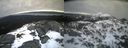 ./images/calvert/buxton2/20220406/buxton220220406_074503M.jpg