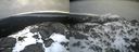 ./images/calvert/buxton2/20220406/buxton220220406_075502M.jpg