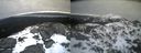 ./images/calvert/buxton2/20220406/buxton220220406_080502M.jpg