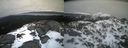 ./images/calvert/buxton2/20220406/buxton220220406_084002M.jpg