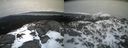 ./images/calvert/buxton2/20220406/buxton220220406_084502M.jpg