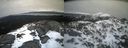 ./images/calvert/buxton2/20220406/buxton220220406_085002M.jpg