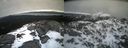 ./images/calvert/buxton2/20220406/buxton220220406_092502M.jpg