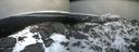 ./images/calvert/buxton2/20220406/buxton220220406_093502M.jpg