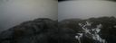 ./images/calvert/buxton2/20220408/buxton220220408_083503M.jpg