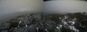 ./images/calvert/buxton2/20220409/buxton220220409_155503M.jpg