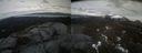 ./images/calvert/buxton2/20220417/buxton220220417_180502M.jpg