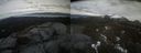 ./images/calvert/buxton2/20220417/buxton220220417_181002M.jpg