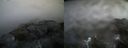./images/calvert/buxton2/20220418/buxton220220418_073503M.jpg