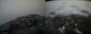./images/calvert/buxton2/20220418/buxton220220418_183502M.jpg