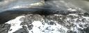 ./images/calvert/buxton2/20220419/buxton220220419_155003M.jpg