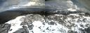 ./images/calvert/buxton2/20220419/buxton220220419_155503M.jpg