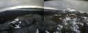 ./images/calvert/buxton2/20220420/buxton220220420_162003M.jpg