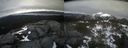 ./images/calvert/buxton2/20220420/buxton220220420_165503M.jpg