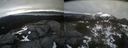 ./images/calvert/buxton2/20220420/buxton220220420_171002M.jpg