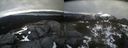 ./images/calvert/buxton2/20220420/buxton220220420_172002M.jpg