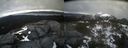 ./images/calvert/buxton2/20220420/buxton220220420_172502M.jpg