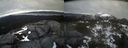 ./images/calvert/buxton2/20220420/buxton220220420_174002M.jpg