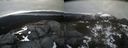 ./images/calvert/buxton2/20220420/buxton220220420_174502M.jpg