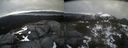 ./images/calvert/buxton2/20220420/buxton220220420_175002M.jpg