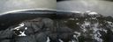 ./images/calvert/buxton2/20220420/buxton220220420_180003M.jpg