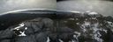 ./images/calvert/buxton2/20220420/buxton220220420_181502M.jpg