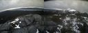 ./images/calvert/buxton2/20220420/buxton220220420_182002M.jpg