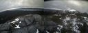 ./images/calvert/buxton2/20220420/buxton220220420_183502M.jpg