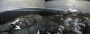 ./images/calvert/buxton2/20220420/buxton220220420_185002M.jpg