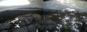 ./images/calvert/buxton2/20220421/buxton220220421_070503M.jpg
