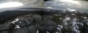 ./images/calvert/buxton2/20220421/buxton220220421_072003M.jpg