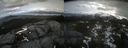 ./images/calvert/buxton2/20220421/buxton220220421_125002M.jpg